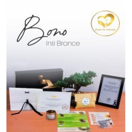 Bono Inti Bronce - Condolencia y Apoyo a Niños Quemados | Fundación Inti