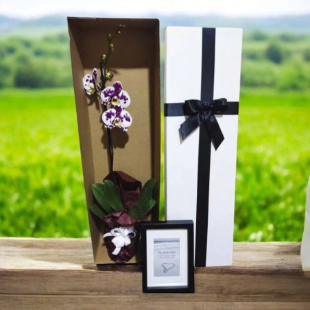 Regalo de Condolencias: Orquídea Grande, Velita, Inciensos y Mensaje de Apoyo