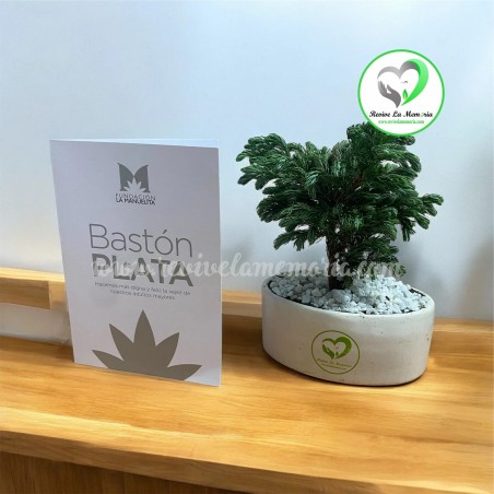 Bono de Condolencias Bastón de Plata - Fundación La Manuelita | Apoyo a Personas Mayores