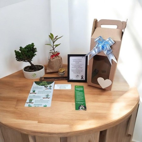 Kit Regala un Árbol + Bonsái - Homenaje Personalizado