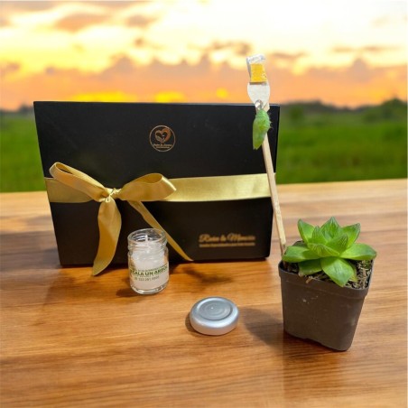 Pupa o Crisálida de Mariposa con Planta - Regalo para el Duelo | Transformación y Esperanza