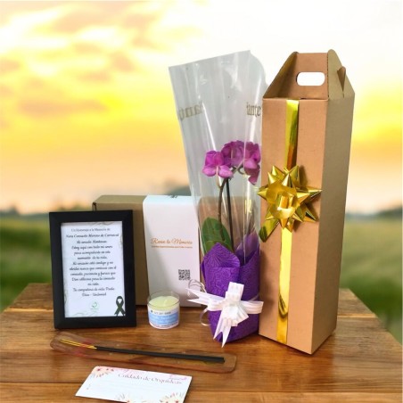 Detalle de Condolencia con Orquídea Baby y Complementos - Regalo Elegante y Personalizado