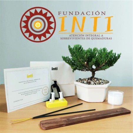 Bono Inti Bronce - Condolencia y Apoyo a Niños Quemados | Fundación Inti